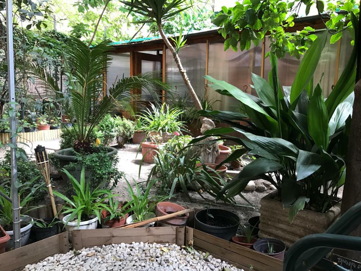 La Casa Di Elena Affittacamere *
